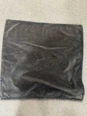 Pottery Barn Velvet Pillow cover